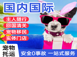 乌拉特中旗海流图航空运输国际宠物托运 【国